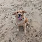 Samantha Corbin - @sammy_n77n77 - Instagram