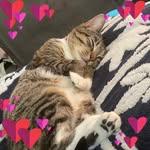 Samantha Corey - @shiriyuki1245 - Instagram
