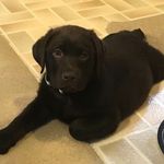 Samantha Cramer - @powellmadison11 - Instagram