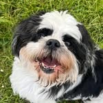 Samantha Dodds - @samdodds2009 - Instagram