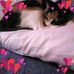 Samantha Doss - Facebook