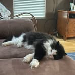 Samantha Downs - Facebook