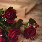 Samantha Downs - Facebook