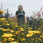 Samantha Downs - @samdowns2020 - Instagram