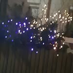 Samantha Grasser - @samantha.grasser0609 - Instagram