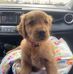 Samantha Hamm - Facebook