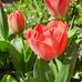Samantha Hamm - Facebook