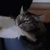 Samantha Hawk - @samantha.hawk2 - TikTok