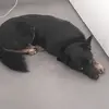 Sammy 😮‍💨😮‍💨😮‍💨 - @samantha.held - TikTok