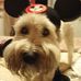 Samantha Hepp - Facebook