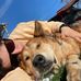 Samantha Hoffmann - Facebook