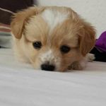 samantha hoffmann - @hoffmann7521 - Instagram