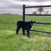 Samantha M Hoffmann - @hoffmannfunpharm - TikTok