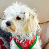 Samantha Korbal736 - @samanthakorbal736 - TikTok