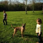 Sammie Korb - Facebook