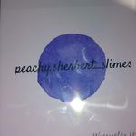 SAMANTHA LYTLE - @peachy.sherbert_slimess - Instagram