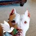 Samantha Mantor - Facebook
