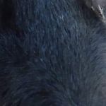 Samantha Null - @samantha.null.988 - Instagram