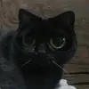 Samantha Pass - @samantha.pass1 - TikTok