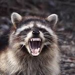 Samantha reinbolt - @sbr_sams - Instagram