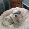 Samantha roe - @urgirlsam.16 - TikTok