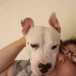 Samantha Havery - @samantha.severance.1 - Instagram
