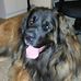 Samantha Shackleton - Facebook