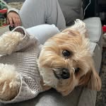 Samantha Shock - @lucys0518 - Instagram