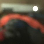Samantha Shultz-Ramer - @keegramer - Instagram
