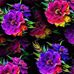 Samantha Silvers - Facebook