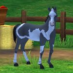 Samantha.Starstream - @samantha.starstream - Instagram