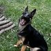 Samantha Taylor - Facebook
