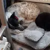 samanthatimms923 - @samanthatimms923 - TikTok