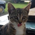Samantha Utter - @journey_smw - Instagram