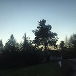 Samantha Willard - @samantha.willard.56211 - Instagram