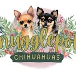 Samantha Wright - @snugglepotchisx - Instagram