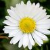 Samantha Wright - Facebook