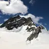 Samapti Patel - @samaptip - TikTok