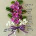 Samar Abed - Facebook