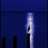 samar abed - @samar.abed73 - TikTok