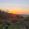 samar abed - @samarsabbagabed - TikTok