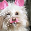 samarabed21 - @samarabed21 - TikTok