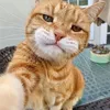 Samar.abed - @samar.abed21 - TikTok