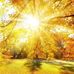 Samar Ahmad - Facebook
