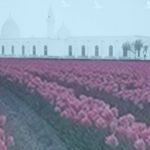 Samar Alsalmi - @samar_alsalmi_ - Instagram