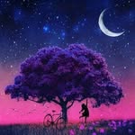Samar Arafat - @samar_1964 - Instagram