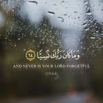 Samar Arafat - Facebook