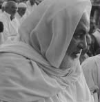 Samar Arafat - Facebook