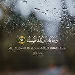 Samar Arafat - @samar.arafat.7758 - Instagram