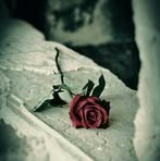 Samar Awada - Facebook